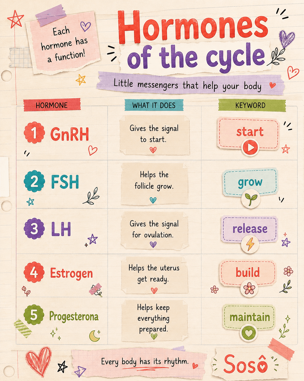 menstrual cycle hormones table, for girls and tweens