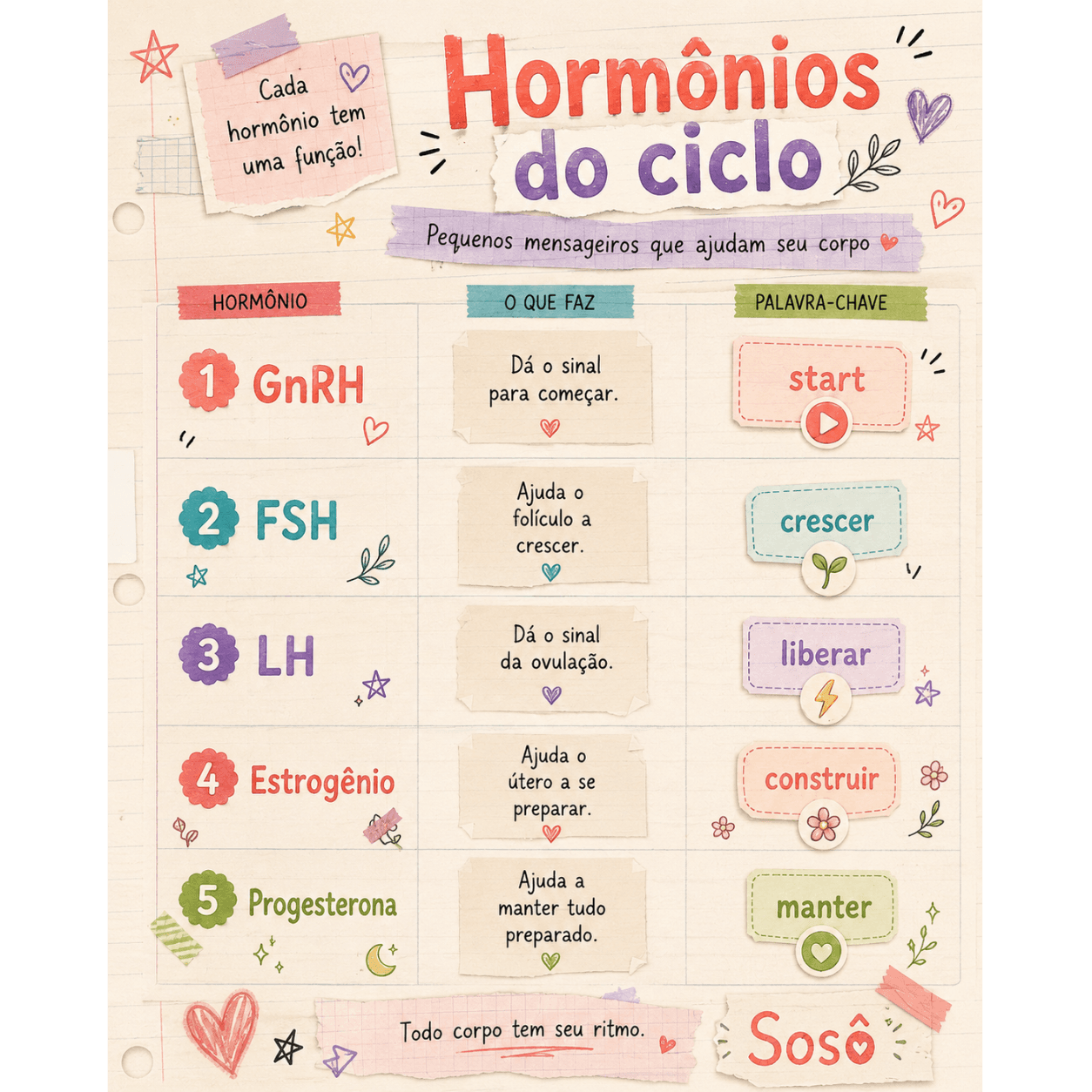 tabela de hormonios do ciclo menstrual